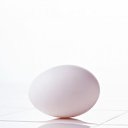  Neon, , 49  -  25  2009   Egg