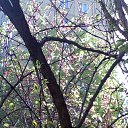 ���� Rina, �������, 39 ��� - ��������� 26 ������ 2010 � ������ ��������