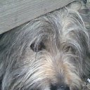 ���� �����, ������, 33 ���� - ��������� 24 ��� 2010 � ������ �����������