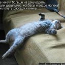 ���� �����, ������, 24 ���� - ��������� 29 ���� 2011 � ������ �������