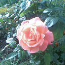 ���� Larka, ������, 52 ���� - ��������� 11 ������ 2012 � ������ ���� ����������