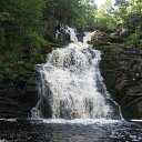 ������� "����� �����" �� ������� ���� ����������