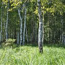 ���� ������, ��������� - ��������� 21 ������� 2010 � ������ ����, ����!!!�