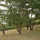 ���� Kombain, �����, 51 ��� - ��������� 15 ������� 2012