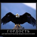 ���� �������, ����, 58 ��� - ��������� 10 ������ 2012 � ������ ���� ����������