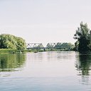  (  ),  , 54  -  3  2010    