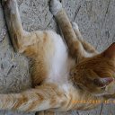 ���� ������, ��������, 41 ��� - ��������� 9 �������� 2011 � ������ �I love Montenegeo�