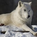 ���� ��������, �����-���������, 29 ��� - ��������� 25 ������ 2012 � ������ ���� ����������