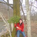 ���� �����, ��������� - ��������� 13 ������ 2013 � ������ ���� ����������