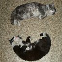 ���� �����, ������, 50 ��� - ��������� 2 ������� 2010 � ������ ��������