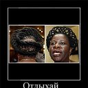 ���� ����, ���������� - ��������� 10 ������ 2010 � ������ ��������������