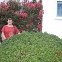 ���� ������, ��������, 61 ��� - ��������� 11 ���� 2012 � ������ �������