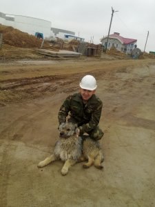 Dima, �����, 45 ���