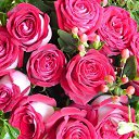 ���� ������, ���-����, 27 ��� - ��������� 17 ������� 2009 � ������ �����������