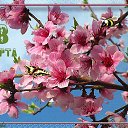 ���� �������, ������ - ��������� 7 ��� 2013 � ������ ���� ����������