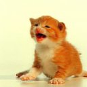 ���� 165656, �������, 38 ��� - ��������� 1 ������ 2012 � ������ ���� ����������