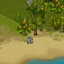 ���� ����������, ������, 34 ���� - ��������� 26 ������ 2013 � ������ �Tropikania�