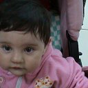 ���� ��������, ������, 53 ���� - ��������� 17 ����� 2012 � ������ ���� ����������