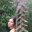 ���� �����, ������, 39 ��� - ��������� 7 ������ 2013 � ������ ���� ����������