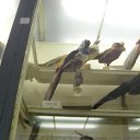 ���� ���, ��������, 30 ��� - ��������� 11 ���� 2013 � ������ ���� ����������