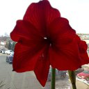 ���� Katkas, �������, 45 ��� - ��������� 20 ������� 2009 � ������ ���������