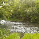 ���� ������, ��������, 33 ���� - ��������� 11 ��� 2012