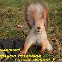 ���� �����, �������� - ��������� 28 ������� 2012 � ������ ���� ����������