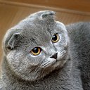 ���� Lei �� �������, ������ - ��������� 13 ����� 2012 � ������ ���� ����������