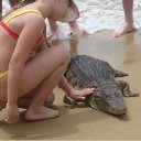���� �������, ������������ - ��������� 5 ���� 2010 � ������ �������