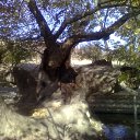  Mehmet(skype(narkolik), , 50  -  5  2011   life