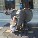 ���� ����, �����-���������, 40 ��� - ��������� 18 ���� 2013 � ������ ���� ����������