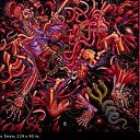 ���� �����, ����� - ��������� 23 ������ 2011 � ������ ����������