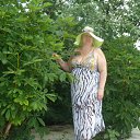  , , 64  -  25  2013    . Ż