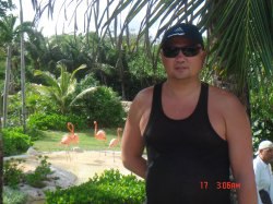 �����, ���������, 53 ����