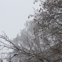 ���� �������, ������ - ��������� 1 ������ 2011 � ������ ��� ����