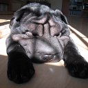 ���� Sawa, �������, 55 ��� - ��������� 20 ���� 2010 � ������ ���� ��������!�