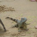 ���� �������, ������������ - ��������� 5 ���� 2010 � ������ �������