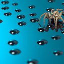 ���� Many��, �����������, 48 ��� - ��������� 11 ������ 2012 � ������ ���� ����������