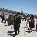  , , 68  -  28  2010   -2010