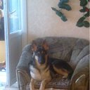 ���� �������, �������������, 51 ��� - ��������� 4 ������ 2012