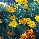 ���� ���������, ���������� - ��������� 22 ������� 2010 � ������ ������� � ��������...�