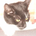 ���� ����, �������, 64 ���� - ��������� 19 ��� 2012 � ������ ���� ����������