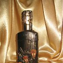 ���� �������, �����������, 51 ��� - ��������� 8 ������ 2011 � ������ ���� �����