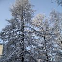 ���� Toryst, �����-���������, 53 ���� - ��������� 17 ������ 2010 � ������ ���������� ���� � ������