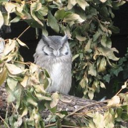 ���� ���������, ������ - ��������� 29 ������� 2010