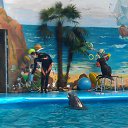 ���� Nik_vit, �������, 59 ��� - ��������� 22 ������� 2012 � ������ ���� ����������