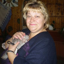 � �������� ����� - ��������