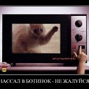 ���� �����, �������, 36 ��� - ��������� 18 ������� 2009 � ������ ���������
