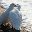 ���� ��������, ���������� ����� - ��������� 3 ������ 2012 � ������ �������