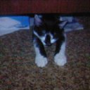   ,  -  26  2013        =)